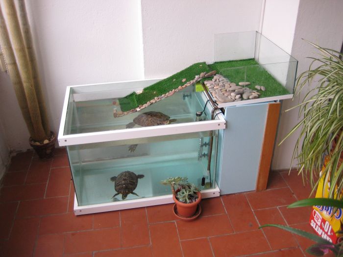 Diy turtle tank