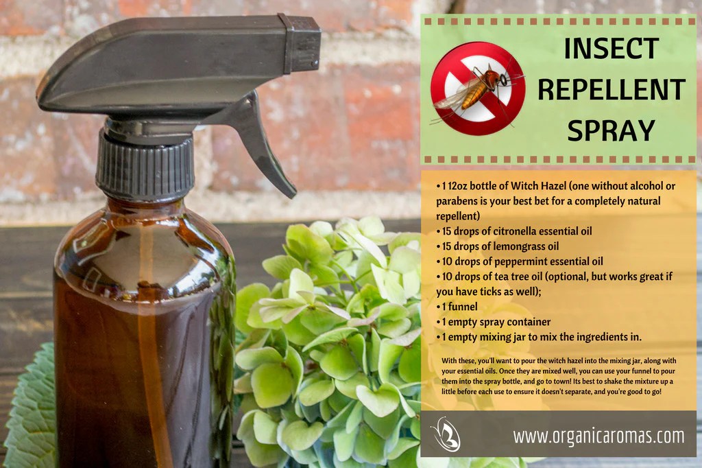 Diy natural insect repellent