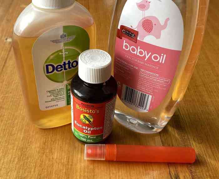 Diy natural insect repellent