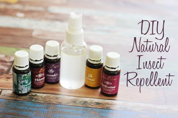 Diy natural insect repellent