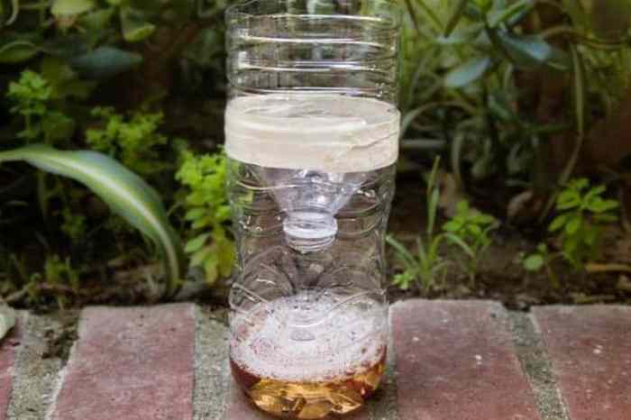 Japanese beetle traps diy